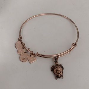 Alex and Ani Sea Turtle Textured Charm Bangle
